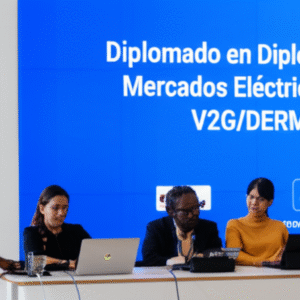 Diploma in Electricity Markets for V2G/DERMs
